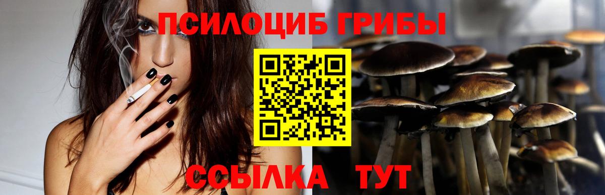 Псилоцибиновые грибы Magic Shrooms  Вход с VPN  Азов 